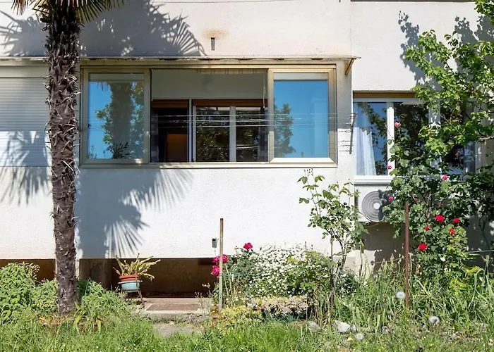 Teta Anka オパティヤ