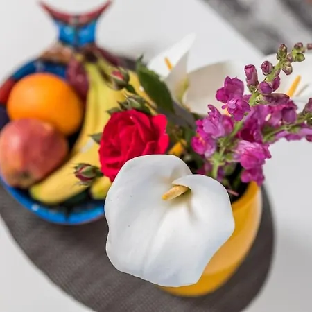 Apartman Teta Anka *